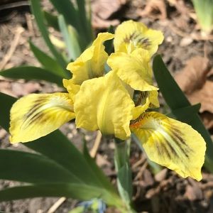 Meet your Posher, Cathy